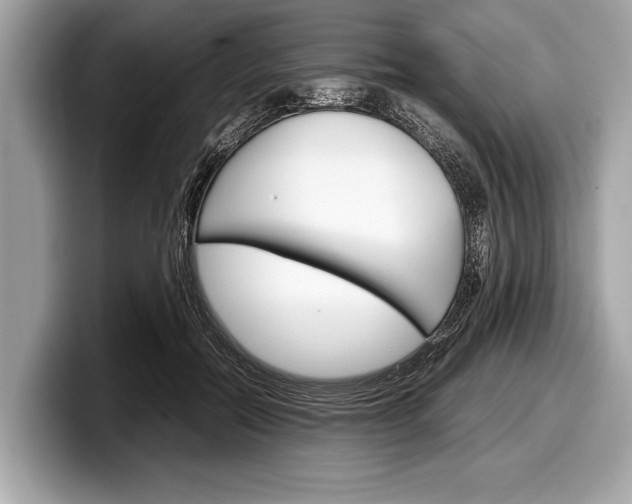 X0000099230554200804241231
