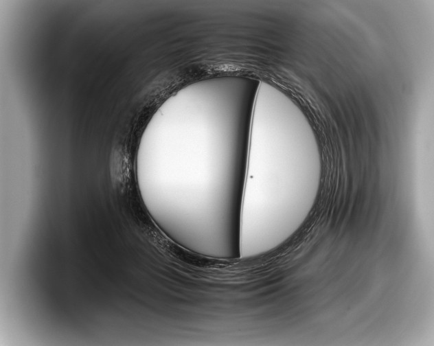 X0000099230555200804241231