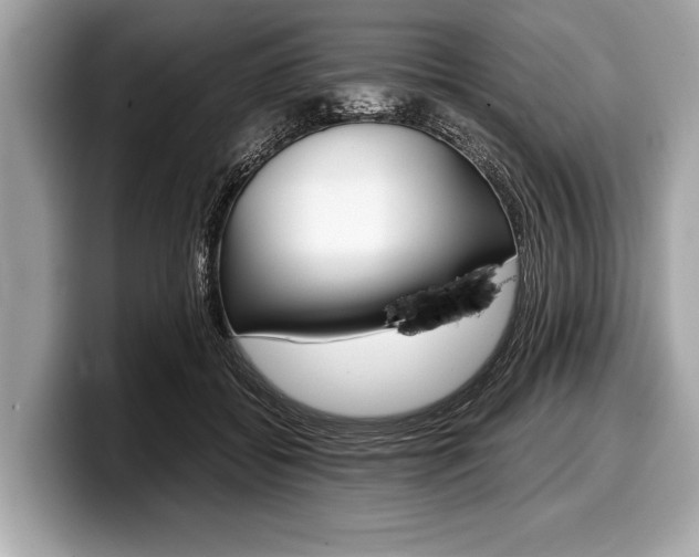 X0000099230556200804241231