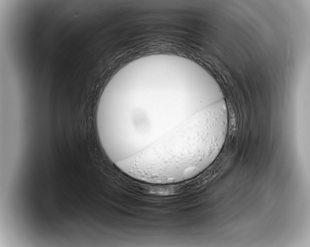 X0000099230559200804241231
