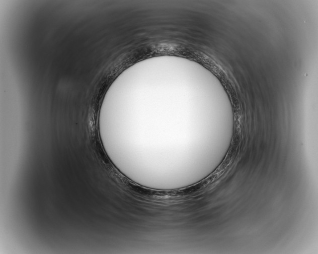 X0000099230561200804241231