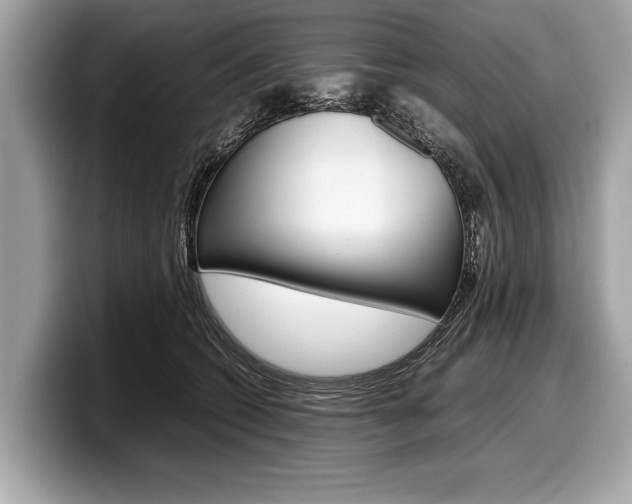 X0000099230562200804241231