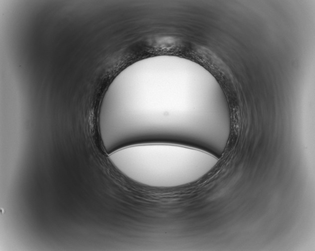 X0000099230563200804241231