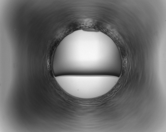 X0000099230564200804241231