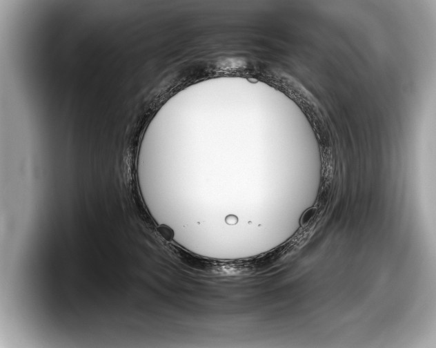 X0000099230565200804241231