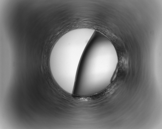 X0000099230566200804241231