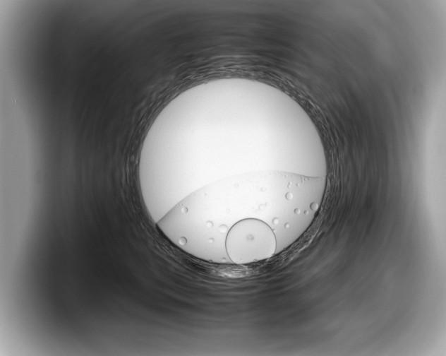 X0000099230567200804241231