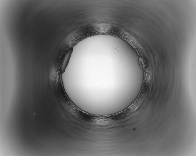 X0000099230568200804241231