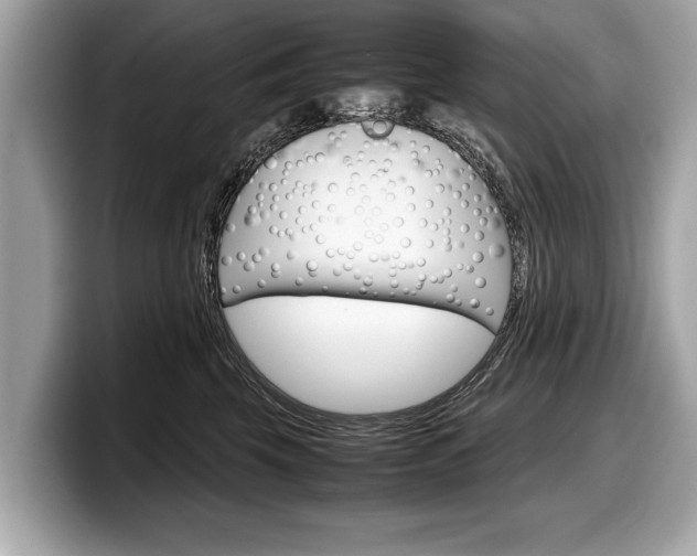 X0000099230569200804241231