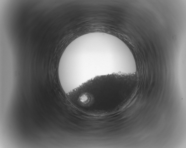 X0000099230571200804241232