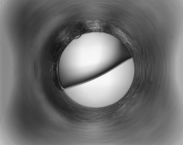 X0000099230572200804241232