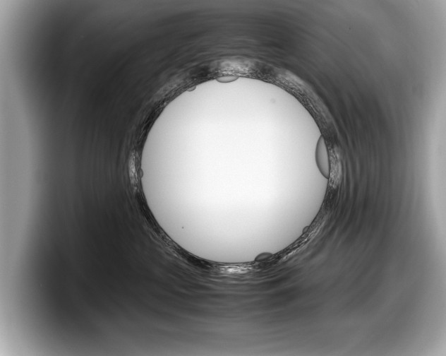 X0000099230573200804241232
