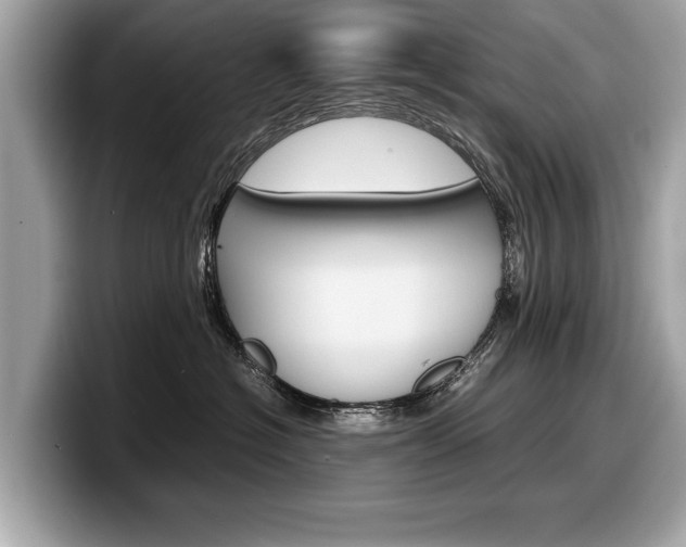 X0000099230574200804241232