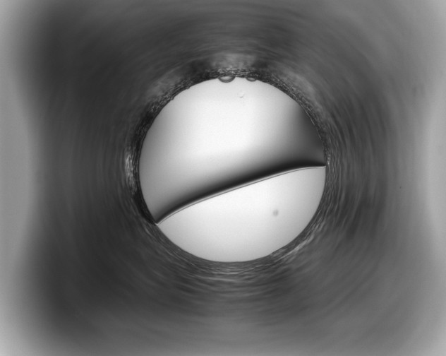 X0000099230575200804241232