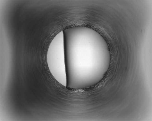 X0000099230576200804241232