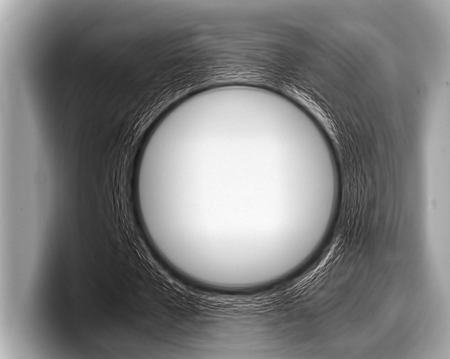 X0000099230577200804241231