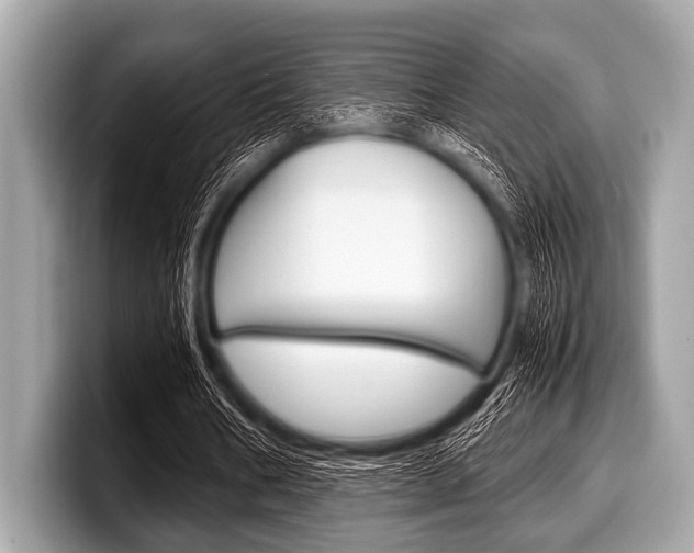 X0000099230578200804241231
