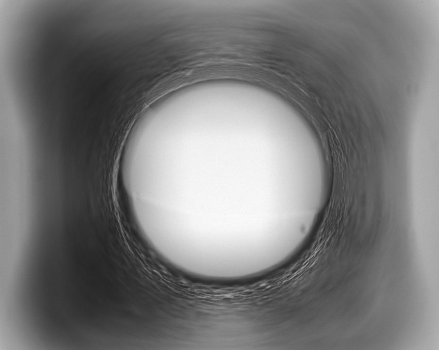 X0000099230579200804241231