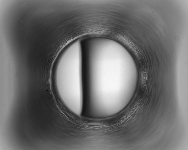 X0000099230580200804241231