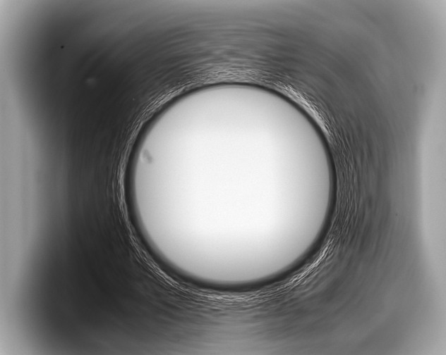 X0000099230581200804241231
