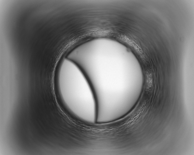 X0000099230582200804241231