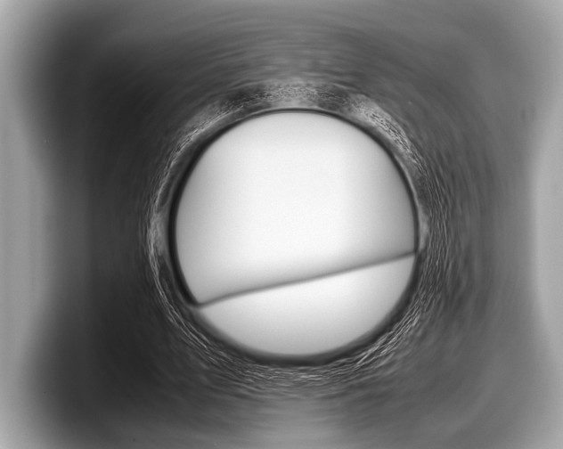 X0000099230583200804241231