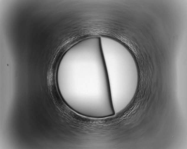 X0000099230587200804241231