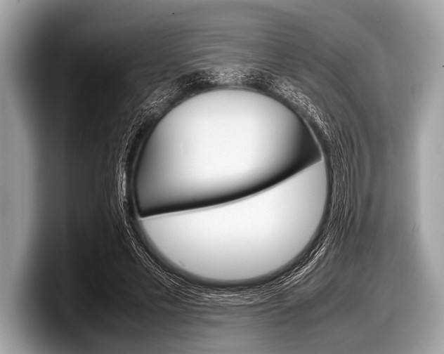 X0000099230589200804241231