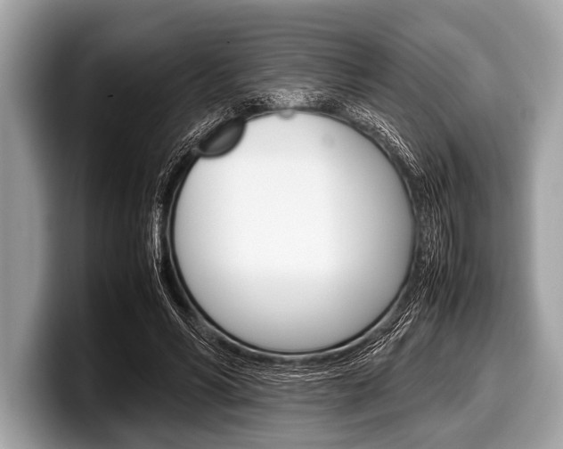 X0000099230590200804241231