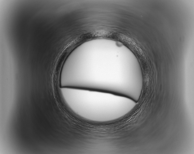 X0000099230591200804241231
