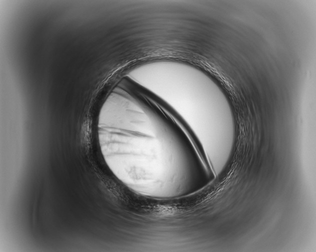 X0000099230592200804241231