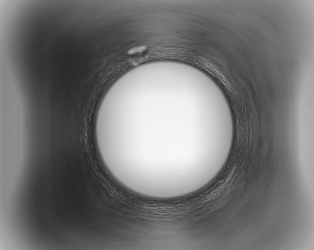 X0000099230593200804241231