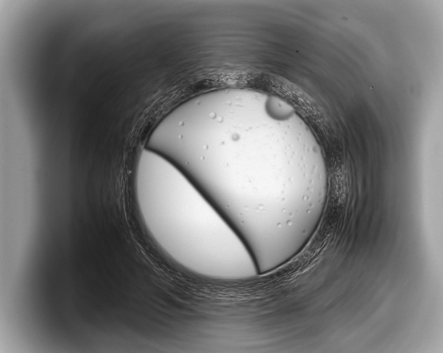 X0000099230594200804241231