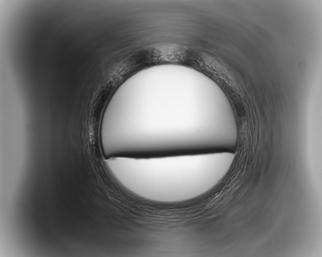 X0000099230595200804241231