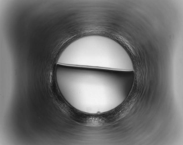 X0000099230596200804241231