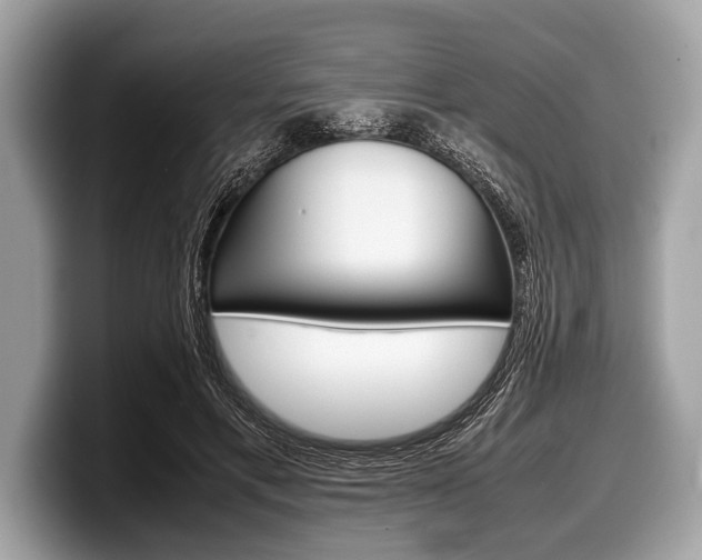 X0000099230597200804241231