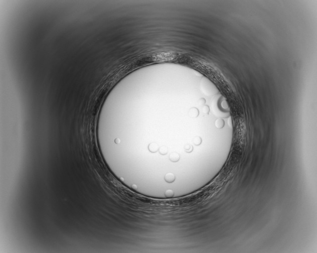 X0000099230598200804241231