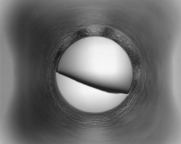 X0000099230599200804241231