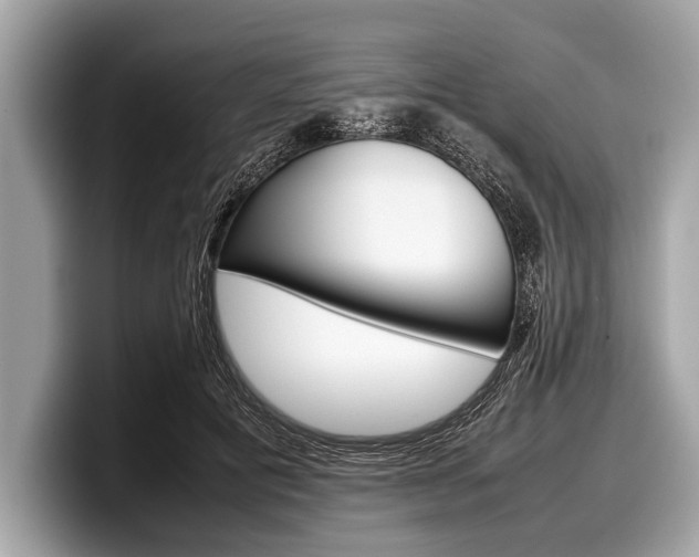 X0000099230601200804241231