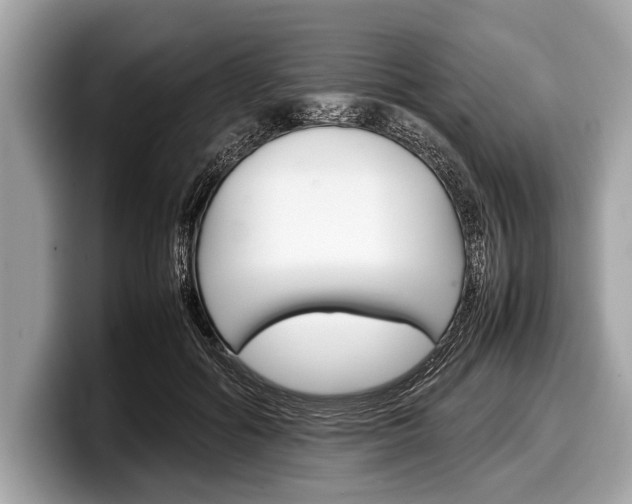 X0000099230602200804241231