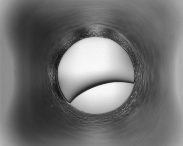 X0000099230603200804241231