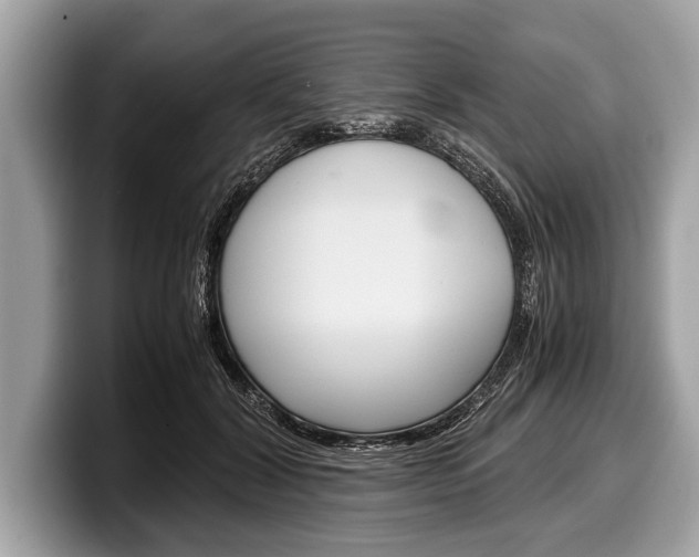 X0000099230604200804241231