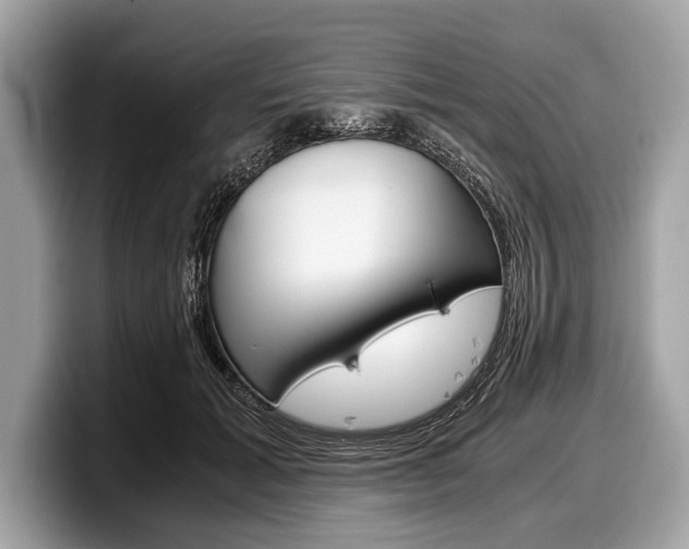 X0000099230605200804241231