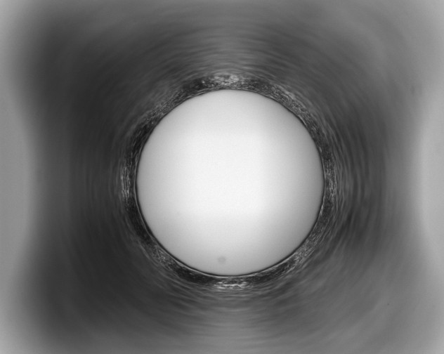 X0000099230606200804241231