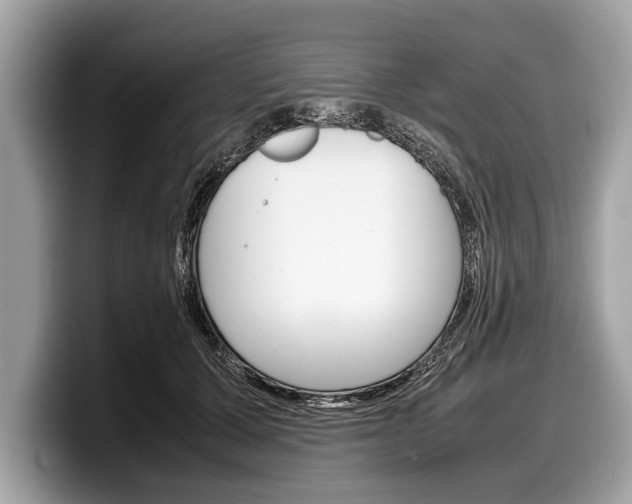 X0000099230607200804241231