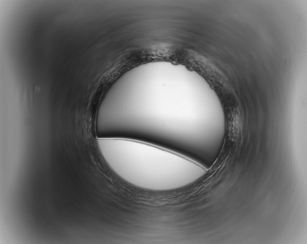 X0000099230608200804241231