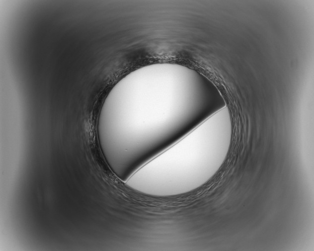 X0000099230609200804241231