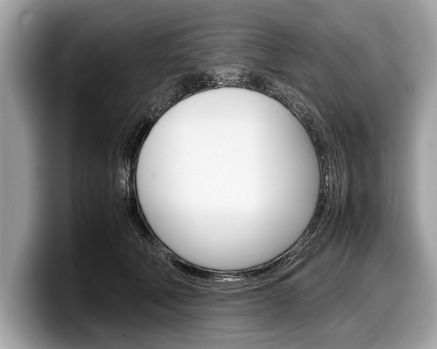X0000099230610200804241231