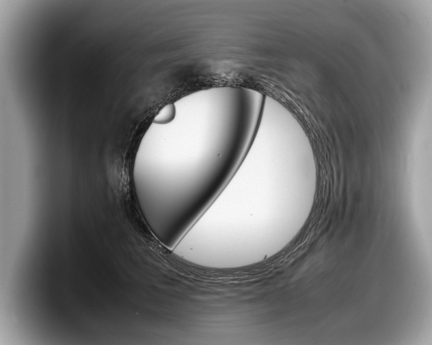 X0000099230613200804241230