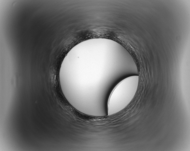 X0000099230615200804241230